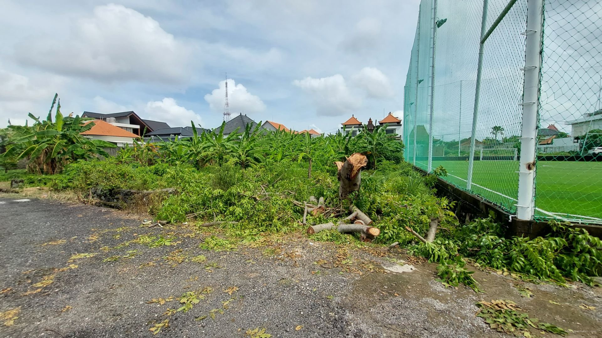 tanah badak agung renon