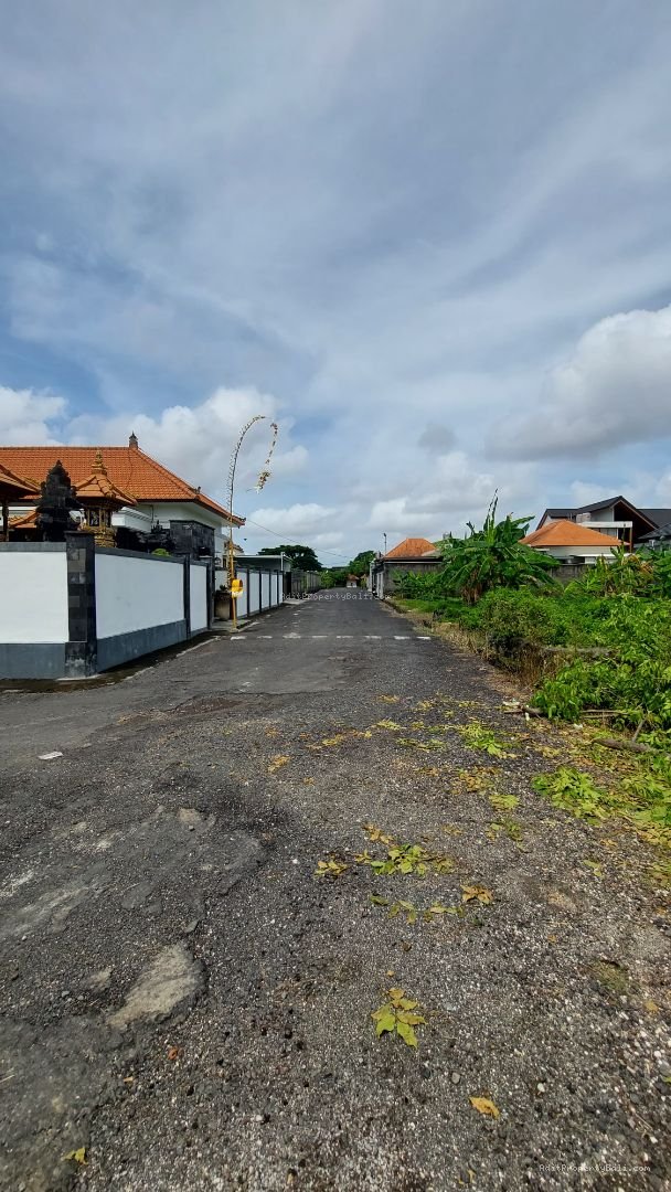 tanah badak agung renon