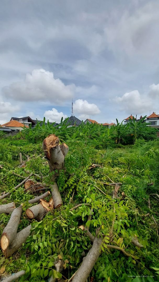 tanah badak agung renon