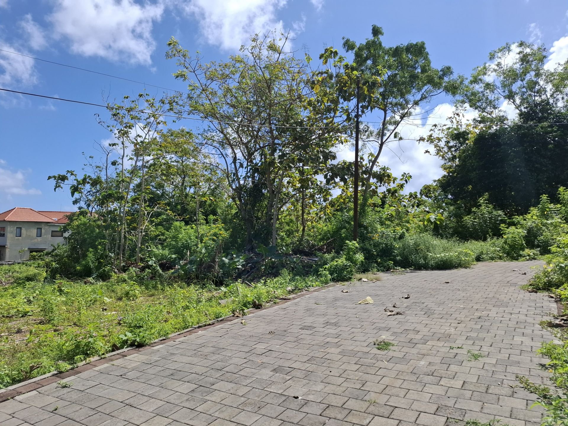 tanah premium pecatu