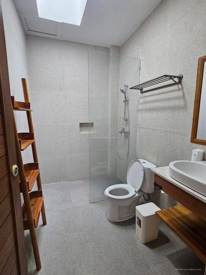 villa seminyak balii