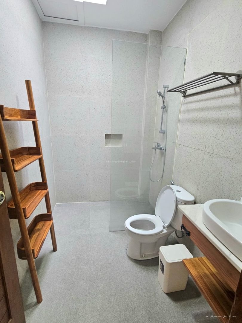 villa seminyak balii