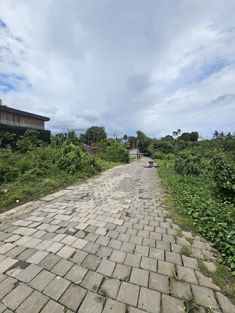 tamah pererenann