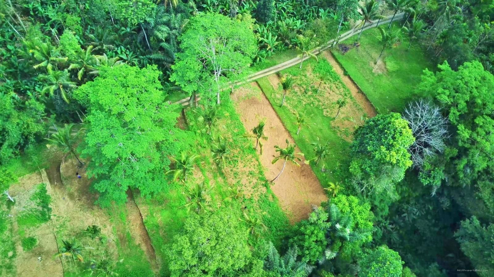tanah payangan ubud