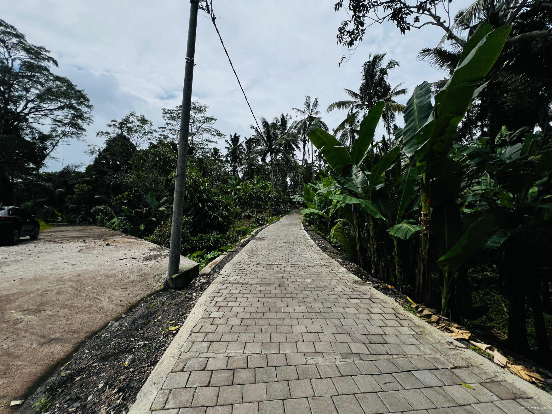 tanah payangan ubud