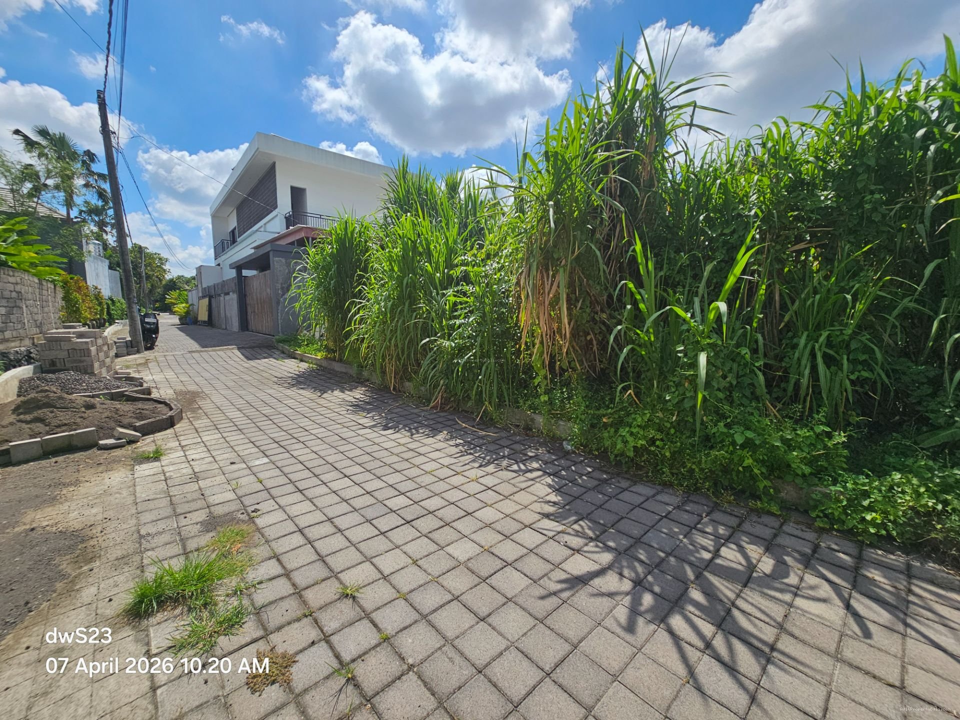 tanah padonann