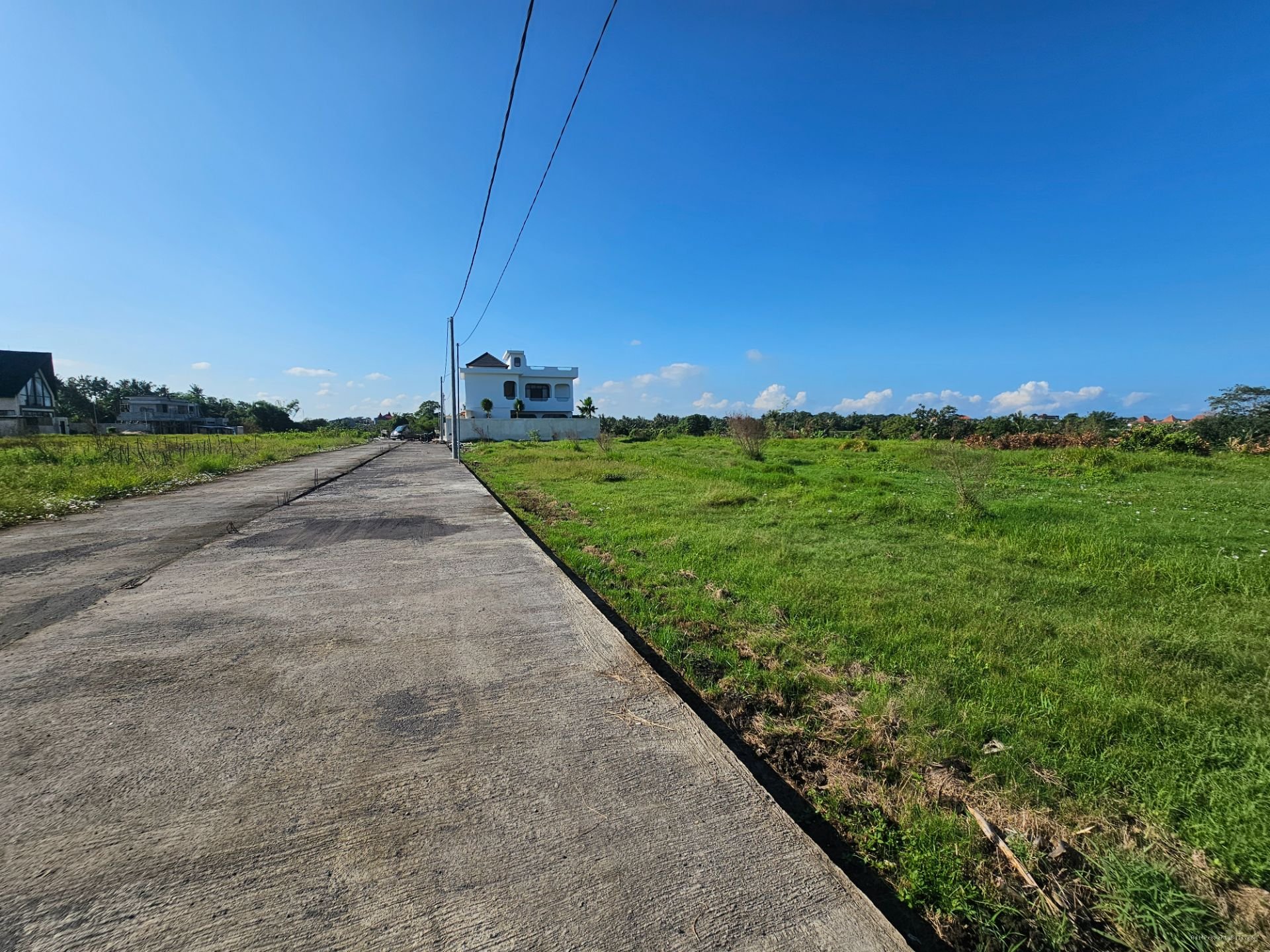 tanah kedungu B