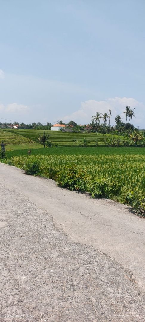 tanah komersil nyanyi tb