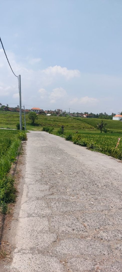 tanah komersil nyanyi tb