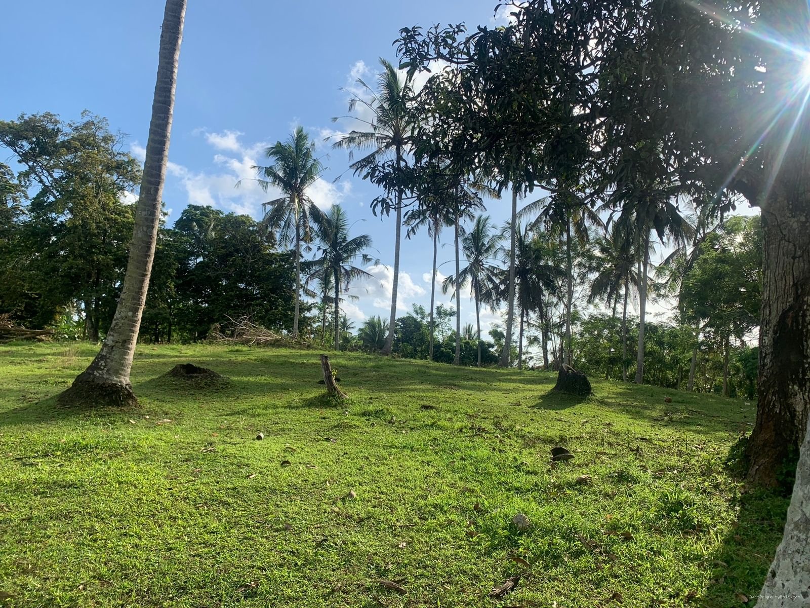 tanah boniann