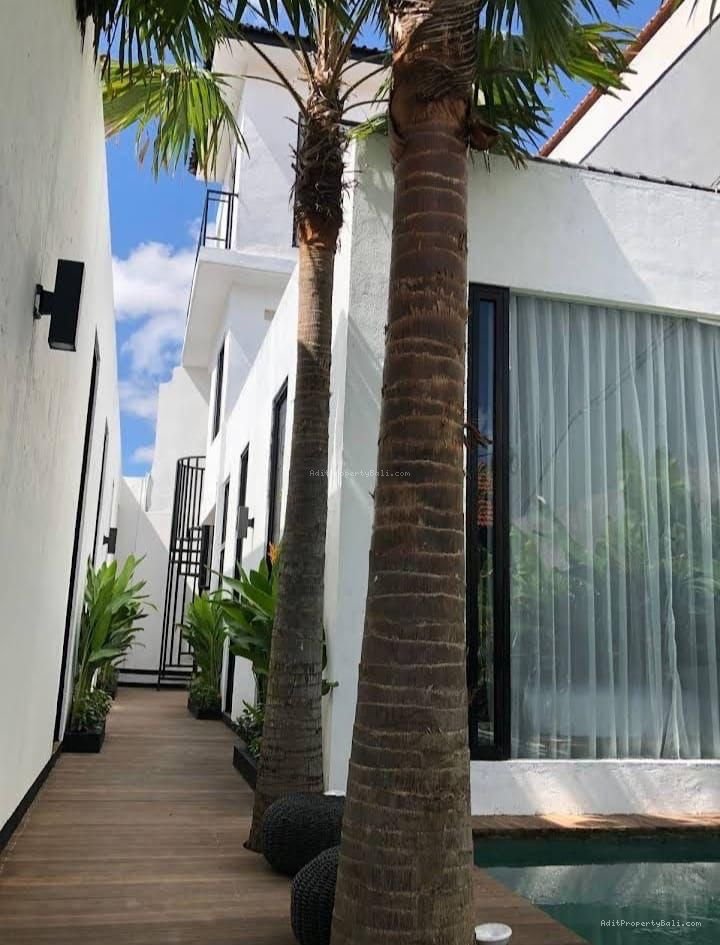 guest house canggu C