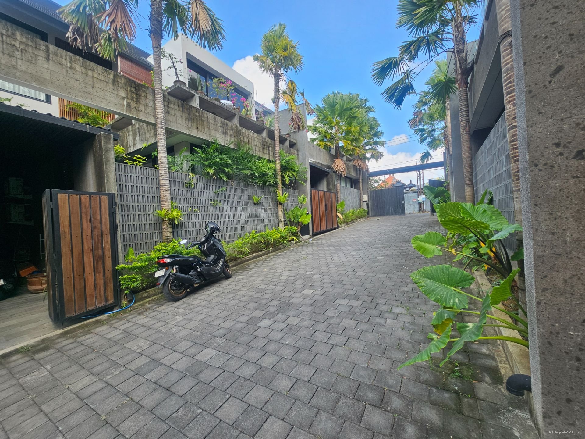 rumah noja denpasar