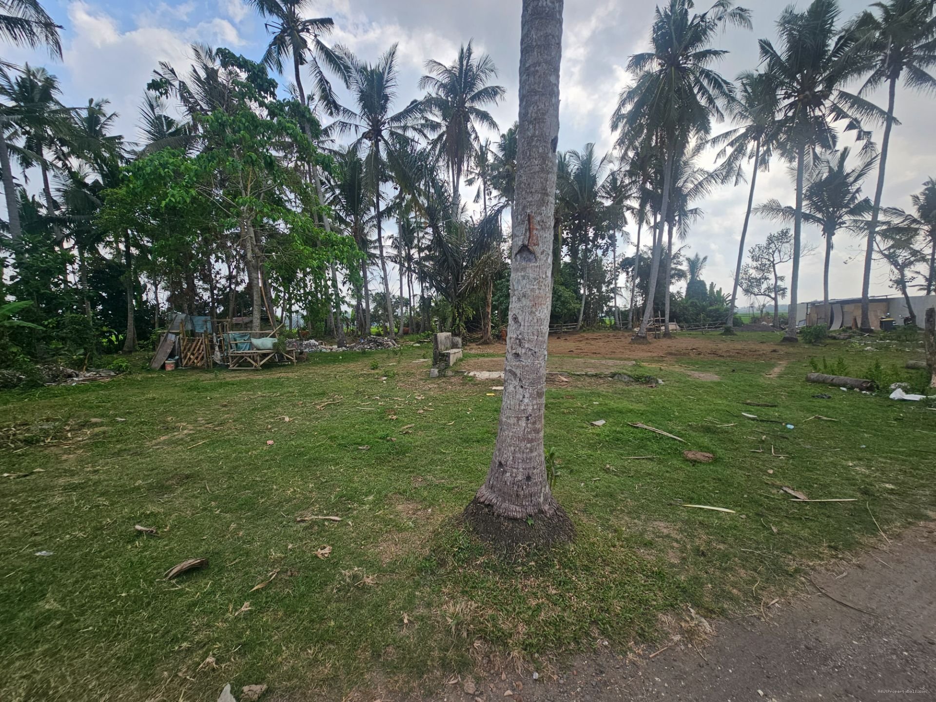 tanah ciputra